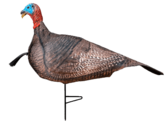 Primos Hunting Photoform Jake Turkey Decoy